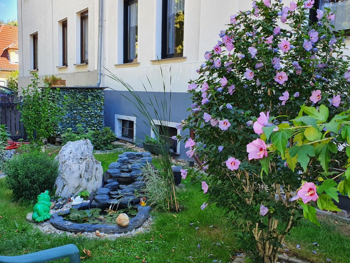Ferienwohnung Mit Charme Neukieritzsch Extérieur photo